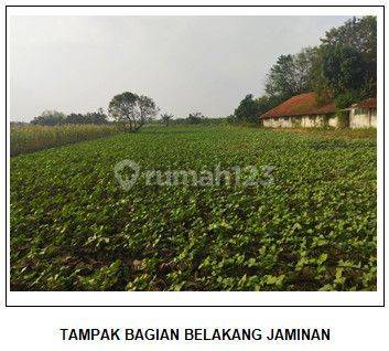 Aset Lelang Gresik Di Benjeng Di Tanah Raya Munggugianti  1