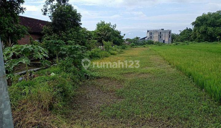 aset lelang mojokerto di mojoanyar di desa jumeneng 2