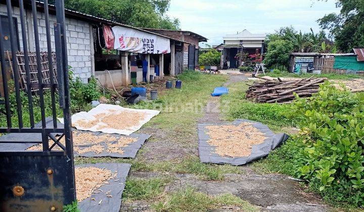 aset lelang mojokerto di mojokerto di mojoanyar di desa jumeneng 1