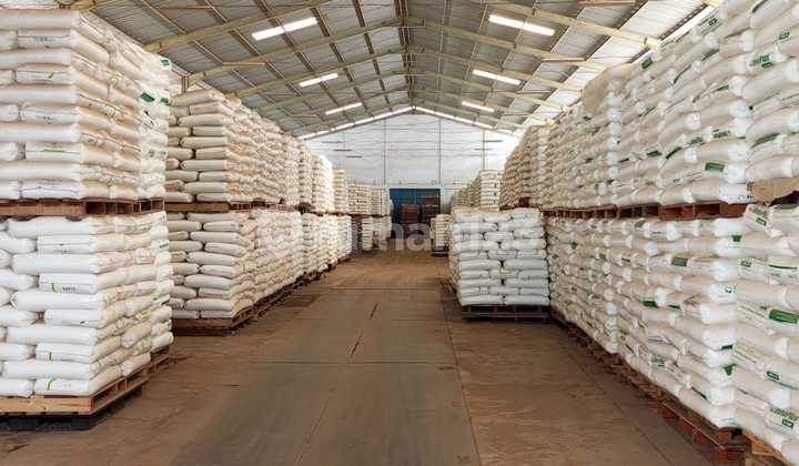 For Rent: Ready-to-Use Warehouse in Daan Mogot, Kali Deres. Neat Warehouse with 40ft Container Access. For Rent: Ready-to-Use Warehouse in Daan Mogot, Kali Deres. Neat Warehouse with 40ft Container Access.