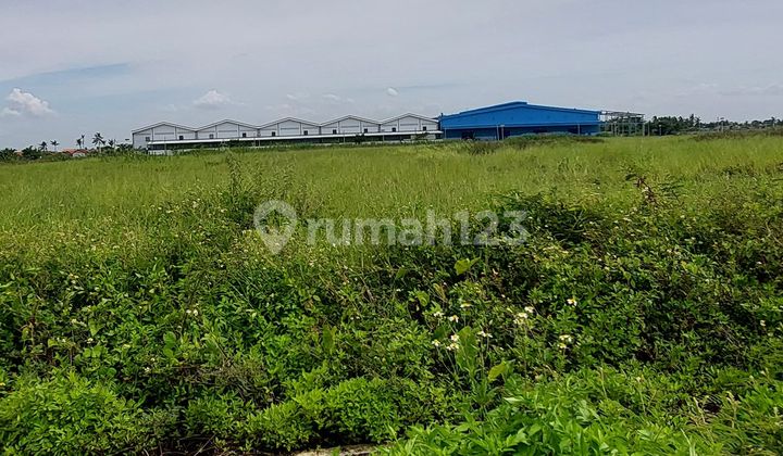 Di Jual Cepat Kavling Industri Dalam Kawasan Termurah Sudah Sertifikat Posisi Bagus Laksana Tahap 1 Akses Kontener 40Ft Termurah Bebas Banjir