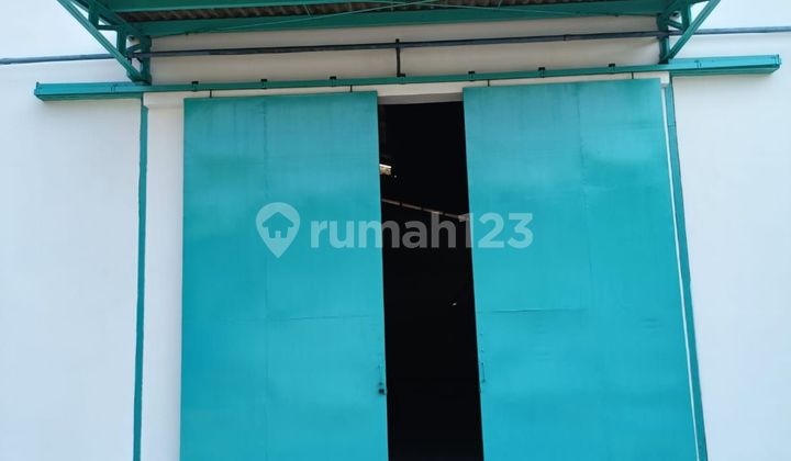 Di Sewakan Gudang Juru Mudi Lokasi Dekat Bandara Termurah Luas Dan Bersih Rapih Gudang Siap Pakai Tersedia Berbagai Ukuran Gudang 684 M Hgb Bagus Gudang 2