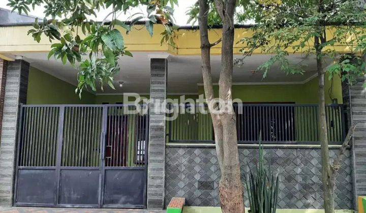 RUMAH WISMA LIDAH KULON NEGO MURAH 1