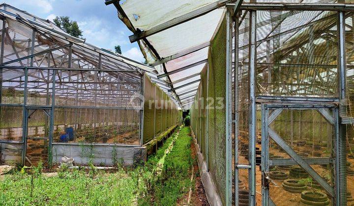 Lahan Pertanian di Cilegon With 5 Unit Green House 2