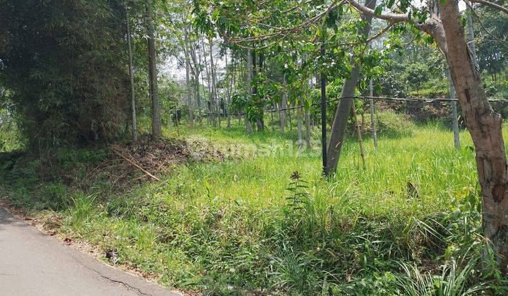 Dijual Cepat Tanah Di Desa Sukamakmur Jonggol Bogor  1