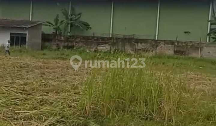 Dijual Tanah Padat Siap Bangun Di Bantar Gebang Bekasi Dijual Tanah Padat Siap Bangun Di Bantar Gebang Bekasi