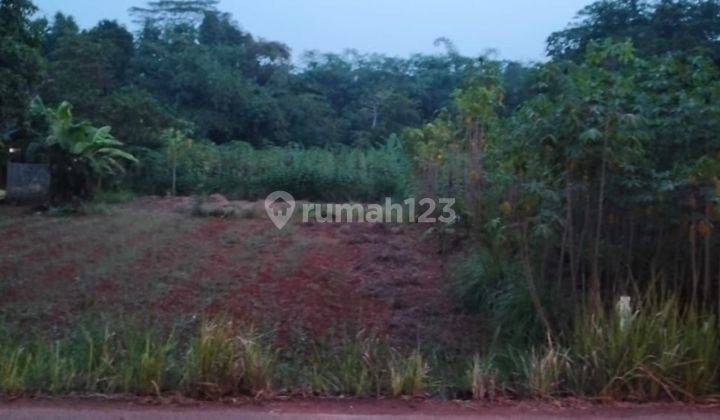 Dijual Tanah Sawah Strategis di Setu Bekasi  2