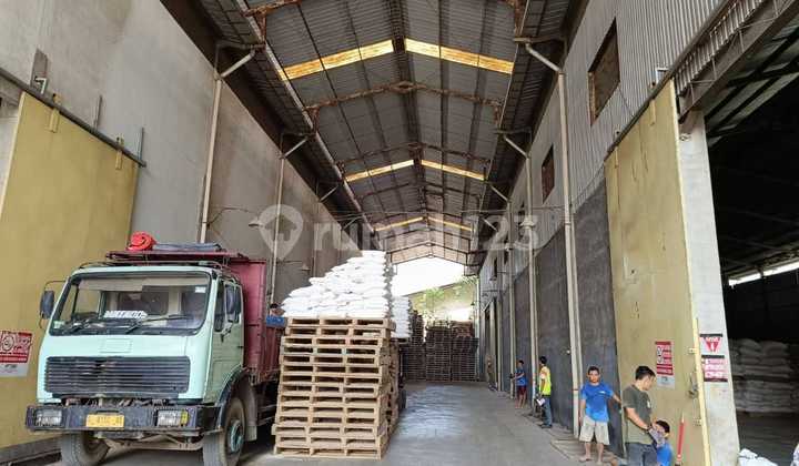 Di Jual Tanah dan Bangunanlokasi Klapa Nunggal Cileungsi Di Jual Tanah dan Bangunanlokasi Klapa Nunggal Cileungsi