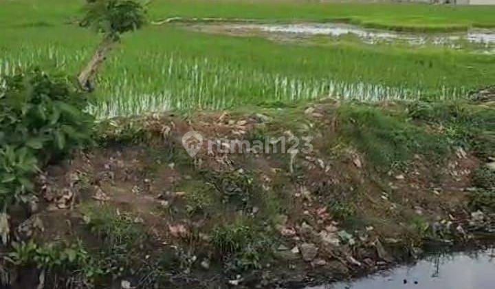 Dijual Lahan Siap Huni di Sukawangi Kabupaten Bekasi  1