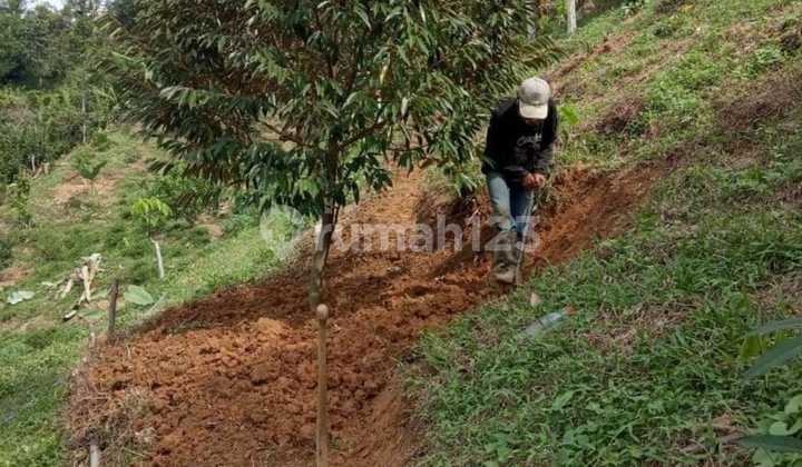 Dijual Lahan Siap Bangun Di Desa Sirnarasa Cariu Bogor