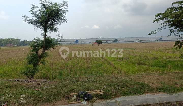 Dijual Tanah Siap Bangun Di Sumber Jaya Majalengka Jawa Barat