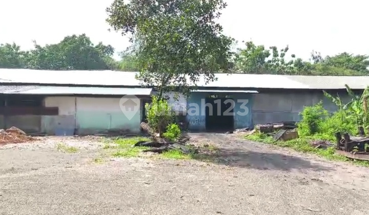 Warehouse for Rent Ready for Use in Citeureup, Bogor