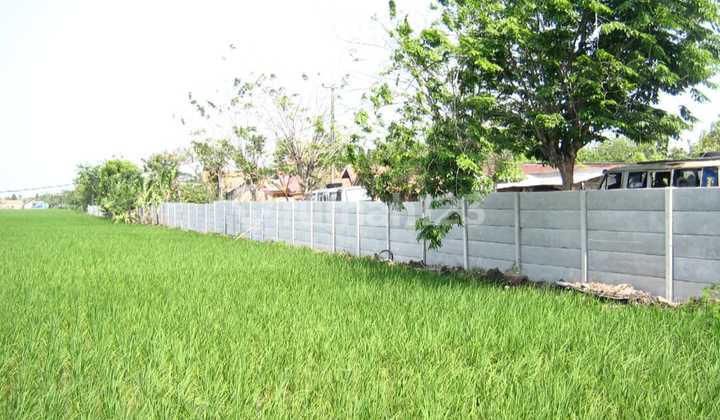 Dijual Tanah Zona Kuning Di Jl Raya Cabangbungin Kabupaten Bekasi Dijual Tanah Zona Kuning Di Jl Raya Cabangbungin Kabupaten Bekasi