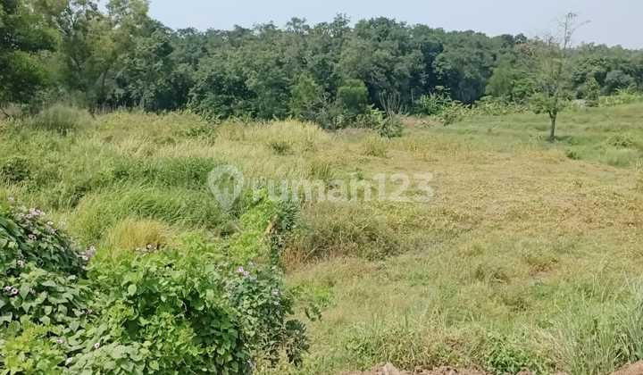 Dijual Tanah Siap Bangun Di Subang Jawa Barat Dijual Tanah Siap Bangun Di Subang Jawa Barat