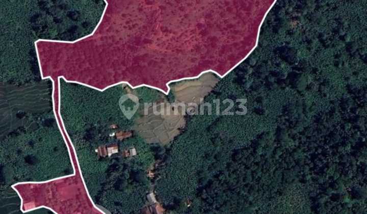 Dijual Lahan Siap Bangun Di Desa Sirnarasa Cariu Bogor