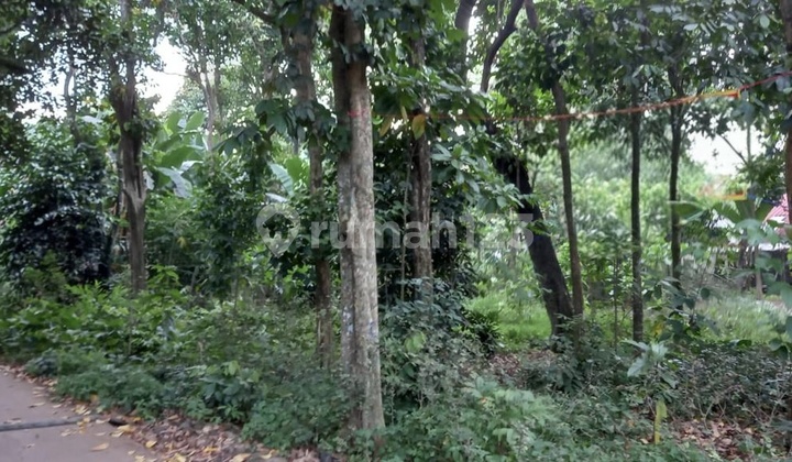 Dijual Tanah Kebun/ Darat di Jalan H.ma'mun Burangkeng Setu