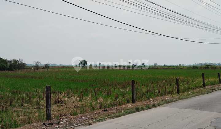 Quick Sale of Land in Sukatenang Village, Bekasi Regency Quick Sale of Land in Sukatenang Village, Bekasi Regency