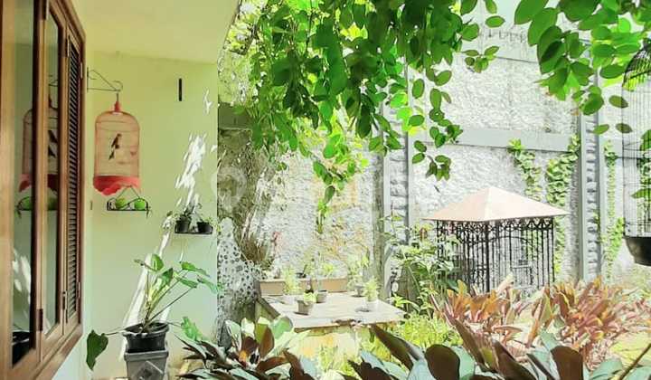 Rumah Siap Huni Bagus Asri, 21/2 Lt di Sektor 9 Rumah Siap Huni Bagus Asri, 21/2 Lt di Sektor 9