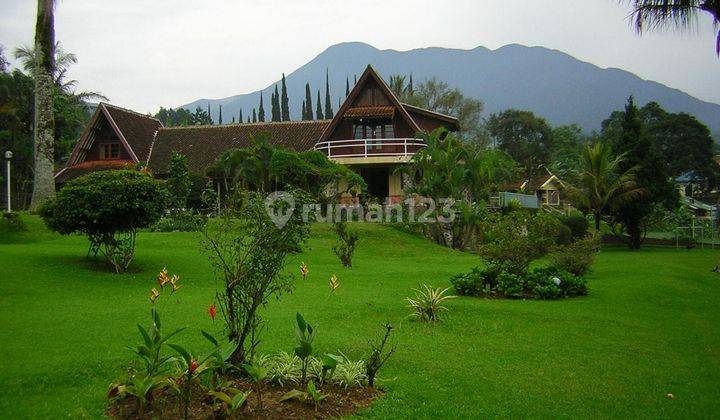 Hot Sale Villa di Cisarua Dekat Taman Safari Hitung Harga Tanah Saja  1