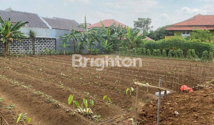 LAHAN LUAS DAN STRATEGIS DI KOTA BOGOR 2