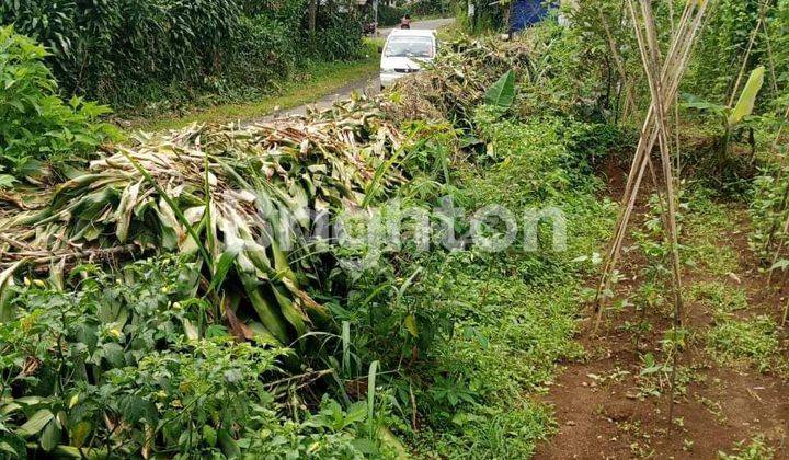 TANAH MURAH PINGGIR JALAN LINTASAN ANGKOT 2