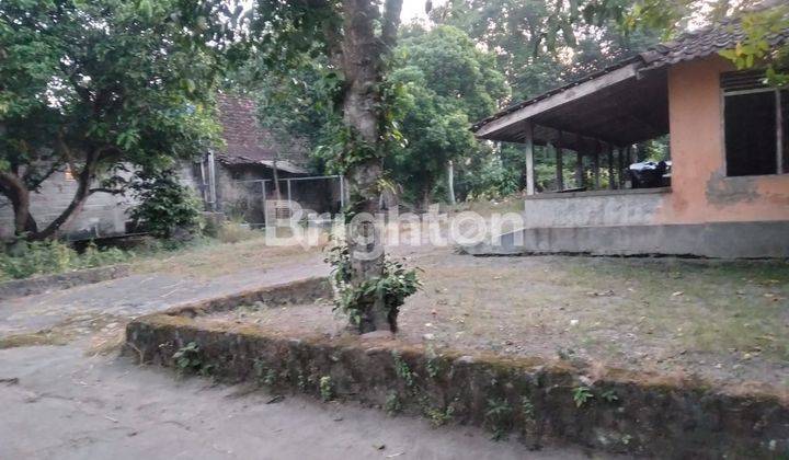 TANAH PEKARANGAN AREA INDUSTRI BELAKANG PABRIK SGM PRAMBANAN 1