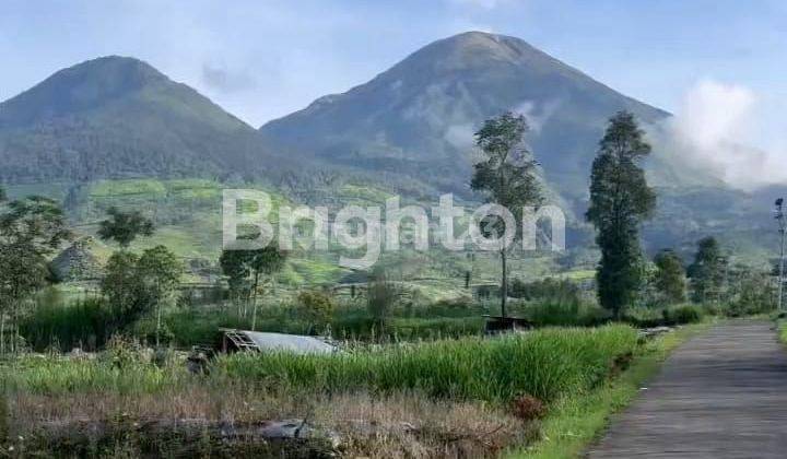 TANAH LUAS 2249 VIEW GUNUNG DI WONOSOBO 1