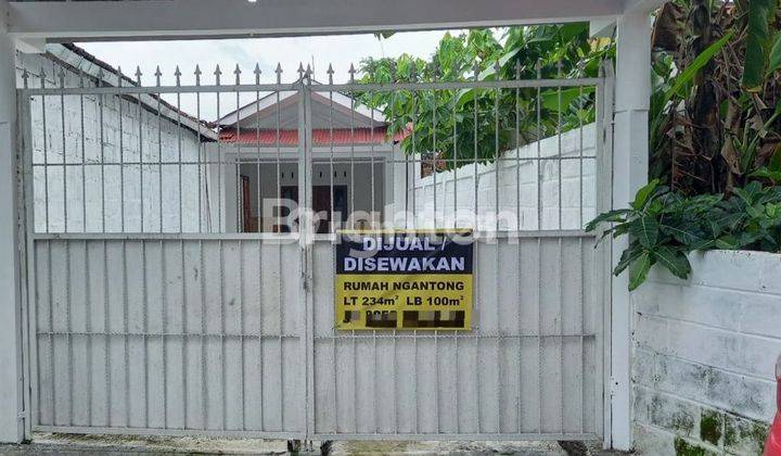 RUMAH NYAMAN DI LOKASI STRATEGIS RINGIN MESJID BELAKANG APOTEK VIVA 2