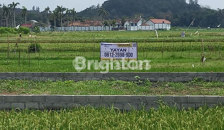 DIJUAL TANAH PEKARANGAN LUAS di BANGUNJIWO – DEKAT UMY! DIJUAL TANAH PEKARANGAN LUAS di BANGUNJIWO – DEKAT UMY!
