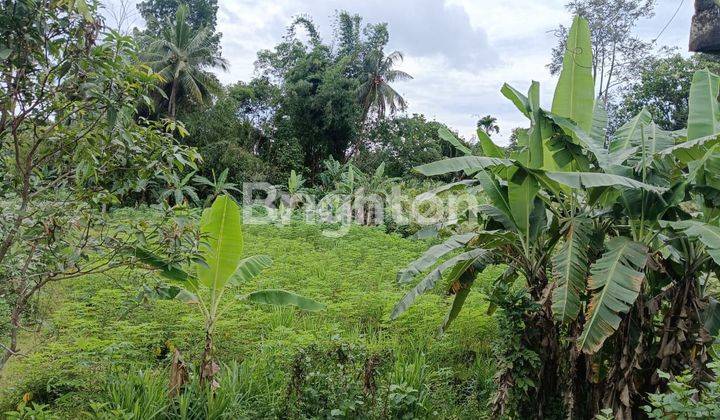 TEMPAT USAHA & RUMAH TINGGAL 2