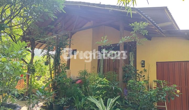 Rumah Asri di Kawasan Wisata Kuliner Pakem 1