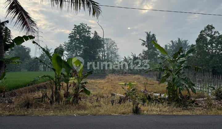 :Fire: Strategic Land for Sale - Sleman, Yogyakarta :Fire: