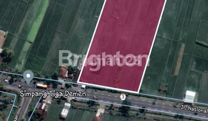 Sawah Zona Kuning dekat Bandara YIA 1