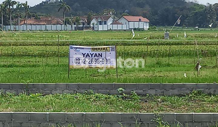 MANFAATKAN KESEMPATAN INI PROMO SELAMA BULAN JANUARI 2025 TURUN HARGA DARI 1,2 JT PER M JADI 750 RB PER M , TANAH DI BANGUNJIWO 2