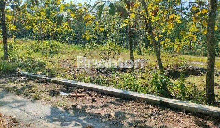 TANAH COCOK UNTUK INVESTASI AREA NGAWEN GUNUNGKIDUL YOGYAKARTA 1