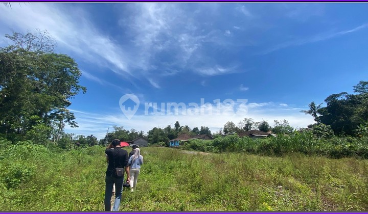 180 Jtan Free BPHTB tanah Jogja 5 Menit Kopi Klothok Sleman