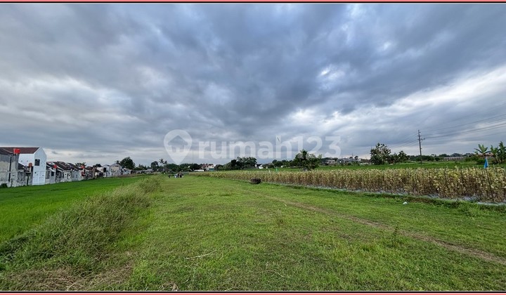 5 Menit RS PKU Gamping Area Godean 300 Jtan Free BPHTB