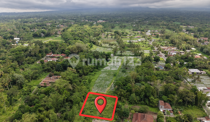 Ready to Transfer Title Free BPHTB & AJB 5 Minutes Kopi Kolthok Kaliurang