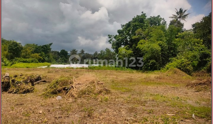 Ready AJB Free AJB 5 Minutes Klothok Coffee Kaliurang