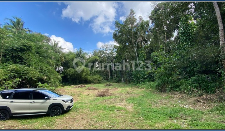 5 Menit Polresta Sleman 1Jtan/m Cicilan 12x Tanpa Bunga 5 Menit Polresta Sleman 1Jtan/m Cicilan 12x Tanpa Bunga