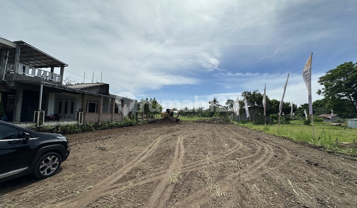 300 Jtan Free Pajak & Balik Nama Pinggir Jl. Pandowoharjo Sleman