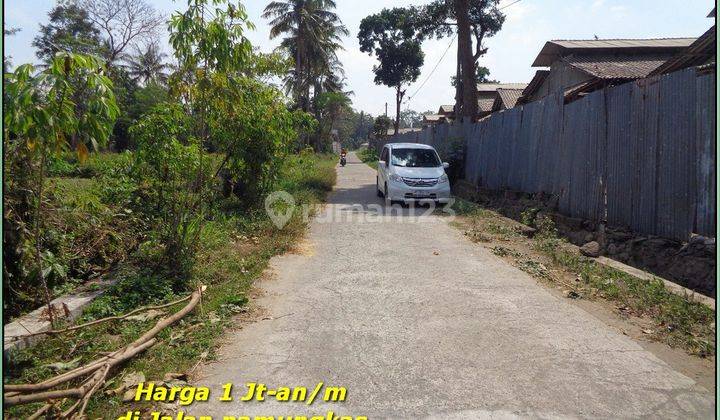 Tanah Jogja Sleman SHM 200 Jtan 5 Menit Jl. Besi Jangkang  2