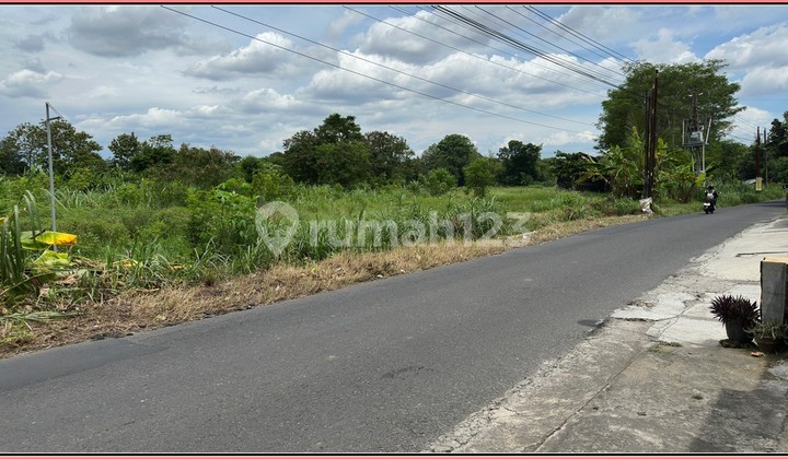 Light Down Payment!! 12x Installments 0% Interest at Ibarbo Park Sleman Light Down Payment!! 12x Installments 0% Interest at Ibarbo Park Sleman