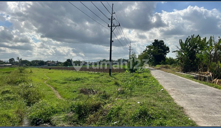 3 Jtan/m Tanah Sleman Godean 5 Menit Kampus UMY Free Pajak