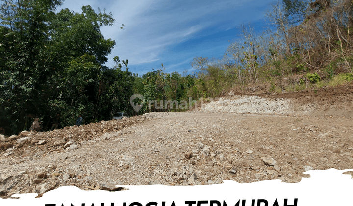 900rban Tanah Murah Jogja 100 Meter Jalan Jjls Bantul SHM Aman