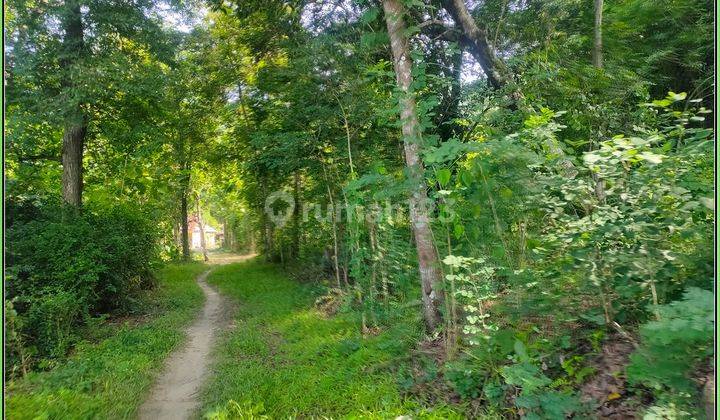 5 Menit Pasar Piyungan Tanah Jogja Murah Cocok Untuk Hunian 2