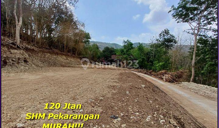 100 Jtan Tanah Jogja Bantul 8 Menit Little Tokyo SHM Pekarangan 2