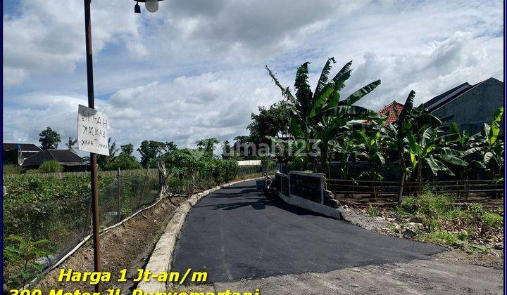 Tanah Jogja Murah 8 Menit Sekolah Budi Mulai Jl.tajem Maguwo 1