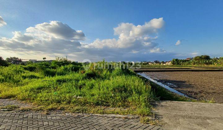 Tanah Jogja Dijual Dekat Amplas Cocok Kos, View Sawah Siap AJB 2