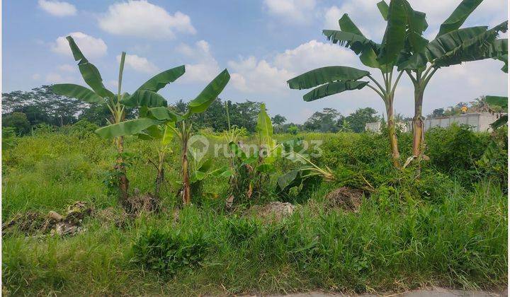 Tanah Sleman Dijual Timur Pemda Sleman Dekat Jl.palagan 2